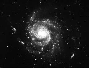 The M101 Galaxy