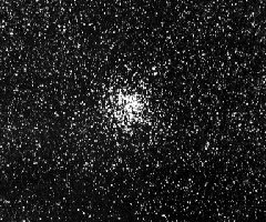 The M11 Open Cluster
