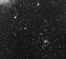 The M21 Open Cluster