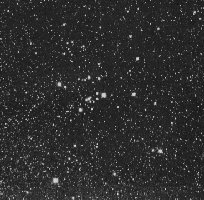 The M25 Open Cluster