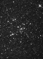 The M41 Open Cluster