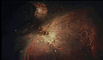 The M42 Nebula