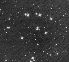 The M44 Open Cluster