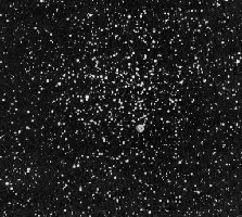 The M46 Open Cluster
