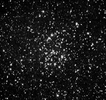 The M50 Open Cluster