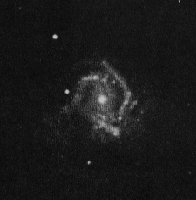 The M61 Galaxy
