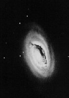 The M65 Galaxy