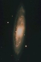 The M65 Galaxy