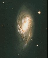 The M66 Galaxy