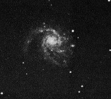 The M99 Galaxy